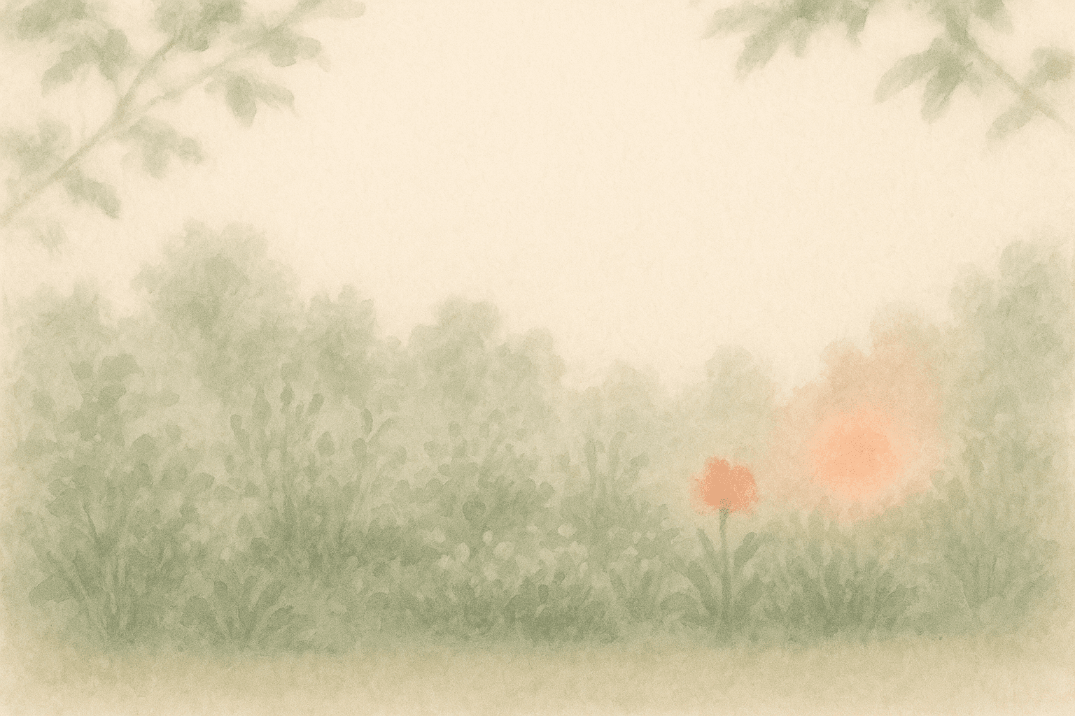 A soft dawn garden, warm cream light and gentle sage foliage with one point of morning light.